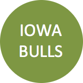 Iowa Bulls
